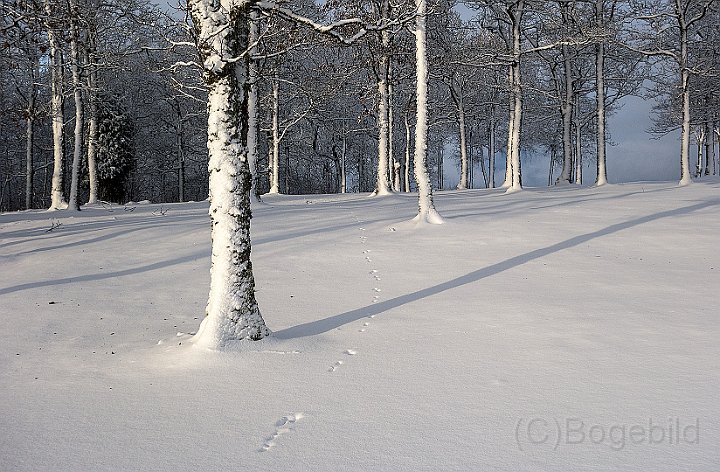 Golfbanan-vinter3.jpg