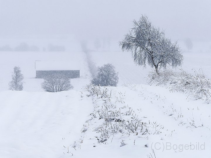 Snöväder.jpg