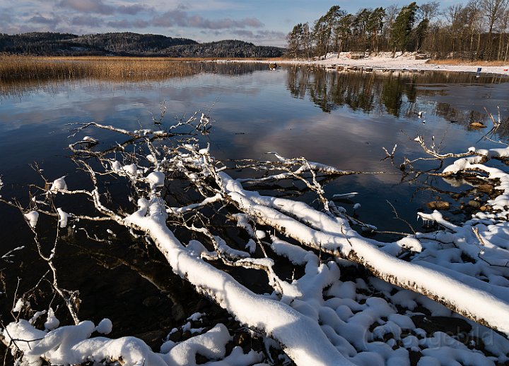 Viken3-nov.jpg