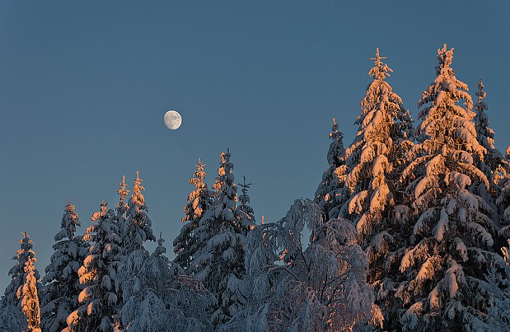 Vinter-Golfbana-Måne-4.jpg