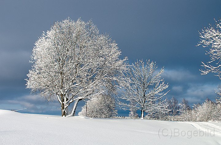 Vinter-Golfbanan-1.jpg
