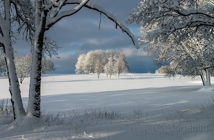 Vinter-Golfbanan-3.jpg