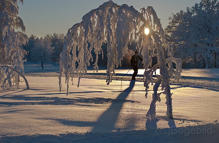 Vinter-Golfbanan-9.jpg