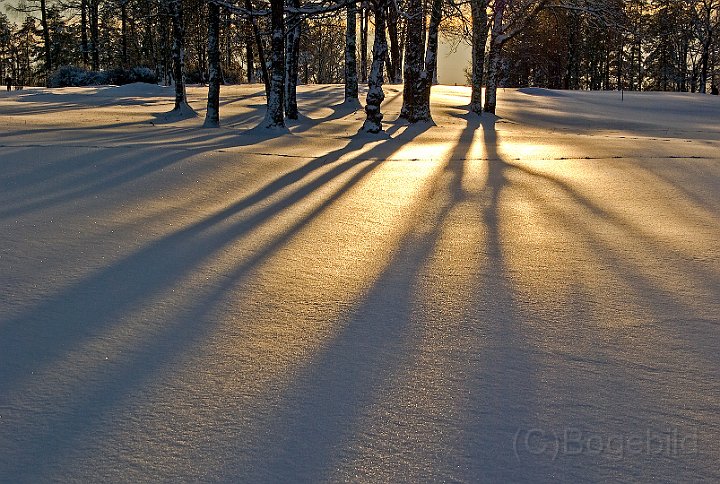 Vinter-Golfbanan-motljus.jpg