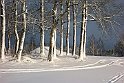Golfbanan-vinter1