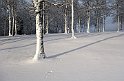 Golfbanan-vinter3