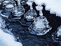 Pineboån3