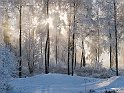 Snöproduktion5