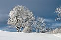Vinter-Golfbanan-1