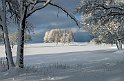 Vinter-Golfbanan-3