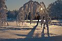 Vinter-Golfbanan-9