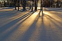Vinter-Golfbanan-motljus