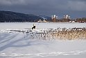 Åsunden-vinter-11